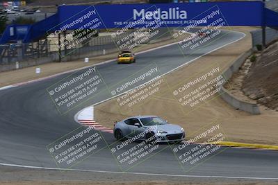 media/Oct-01-2022-Speed SF (Sat) [[ae32c63a98]]/Gold Group/Session 2 (Turn 5)/